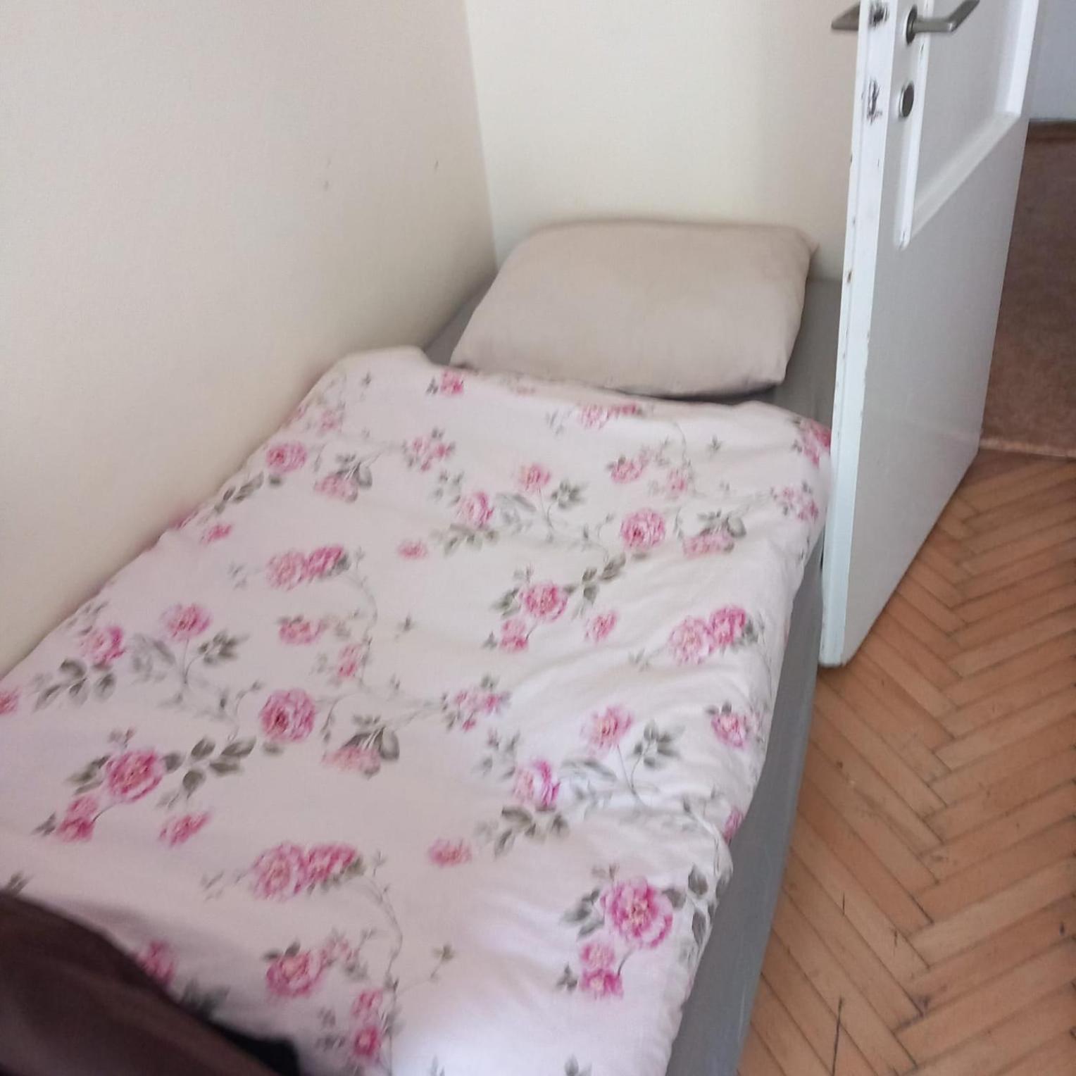Flat 18 Minutes From Vaclavske Namesti Praga